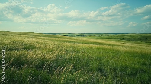 A serene landscape featuring rolling green hills under a partly cloudy sky.
