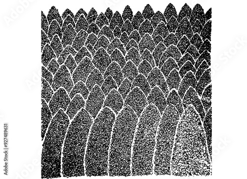 hand draw sketch of tree plant forest pen drawing for interior design