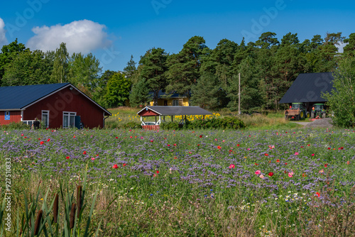 Views around Turku Finland SCandanavia Europe photo