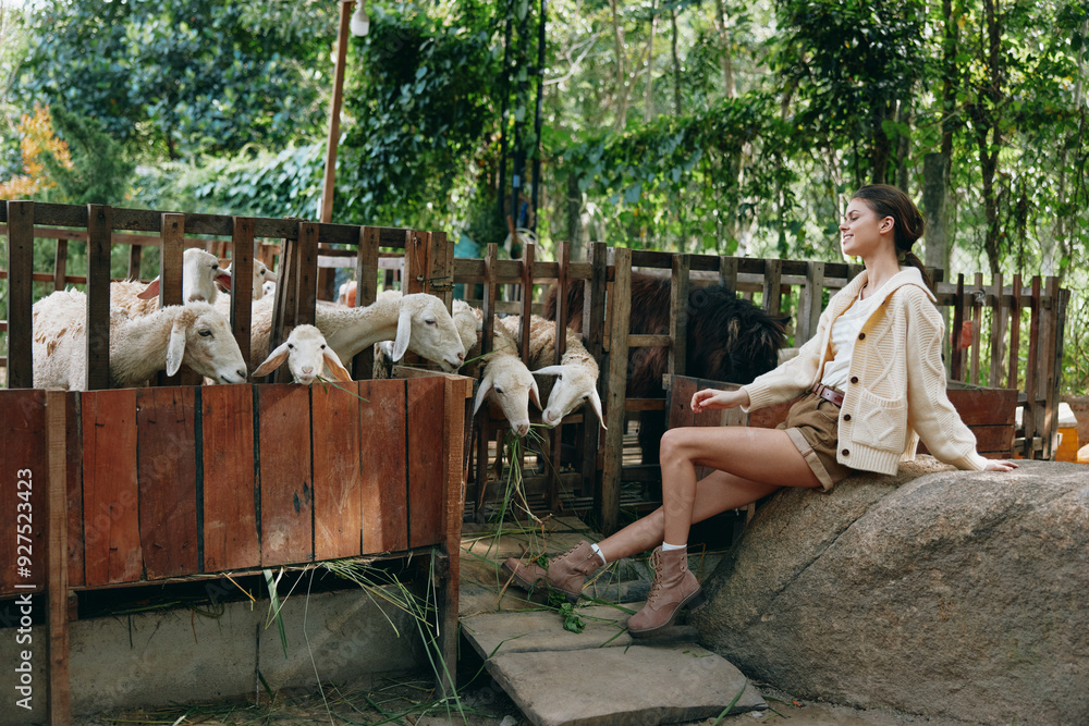 A woman sitting on a rock in front of a group of goats in a pen A woman sitting on a rock in front of a group of goats in a pen