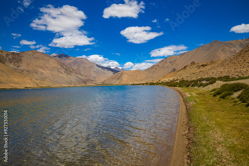 Wild green shrubs growing at the banks of Yayatso, a high-altitude lake at Ladakh, India. A new biodiversity hotspot at an attitude of 4820 meters.   photo