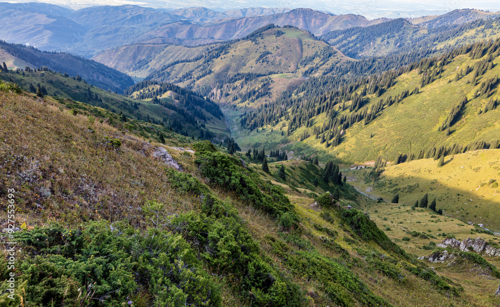 Fototapeta premium landscape in the mountains
