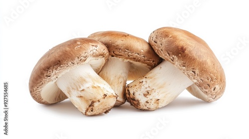 Fresh mushroom on white