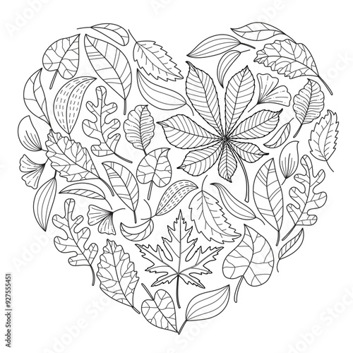 Autumn falling leaves. chestnut, rowan, aspen, oak, maple, doodle style. Hand drawn black and white isolated. Autumn leaves coloring page art therapy for children and adults.