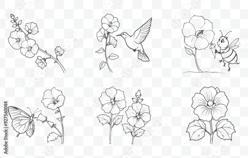 Print Hollyhock Flower Line Art Vector Set Detailed Floral Illustrations of Hollyhocks for Design and Decoration