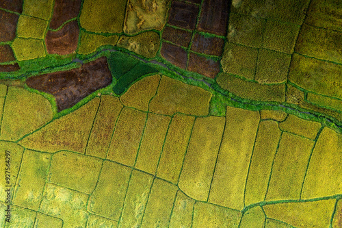 Terraced rice fields
