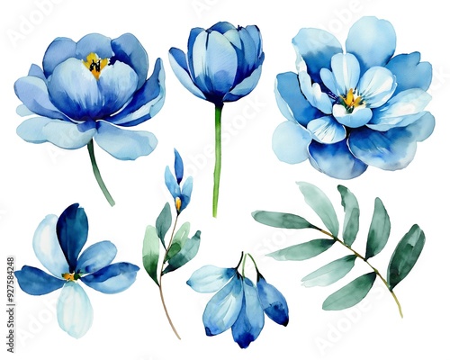 Fototapeta Naklejka Na Ścianę i Meble -  Watercolor Blue Peonies Flowers And Leaves Illustration Set