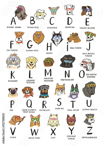 Cute cartoon dog alphabet set. Hand drawn vector illustration of English alphabet.