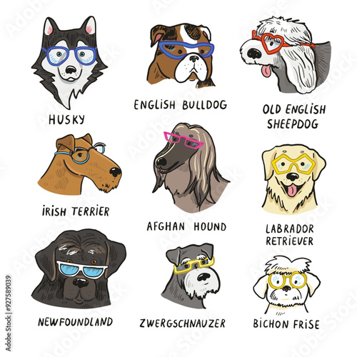 Set of dogs with glasses. Vector illustration on a white background.
