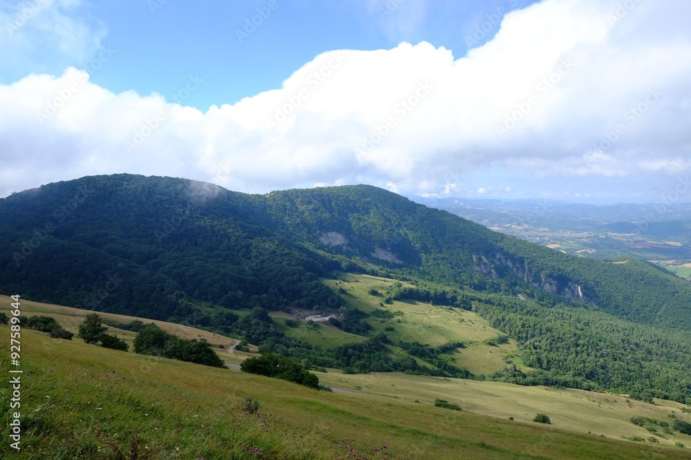 Fototapeta premium Picturesque view of green forest in mountains
