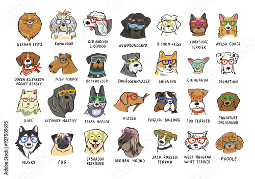 Set of dogs with glasses. Vector illustration on a white background.