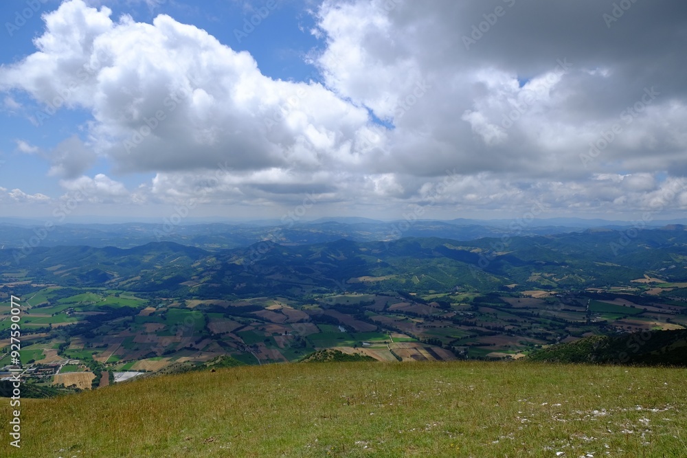 Naklejka premium Picturesque view of green forest in mountains