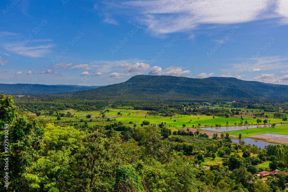 Fototapeta premium The background of green rice fields with large mountains and various kinds of trees provide shade and fresh air.