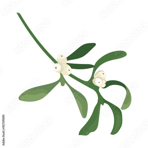 Sprig mistletoe with white berries. Vector christmas branch decoration of mistletoe isolated on white background. Design frame element for print, card, flyer, banner