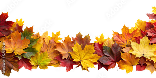 Autumn Leaves Border in Various Colors Isolated on White Transparent Background, PNG Element. Vibrant fall foliage colorful garland