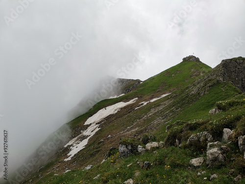 capricorn steinbock in the alps in foggy weather photo