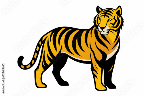  Royal bengal tiger full body standing style vector art illustration