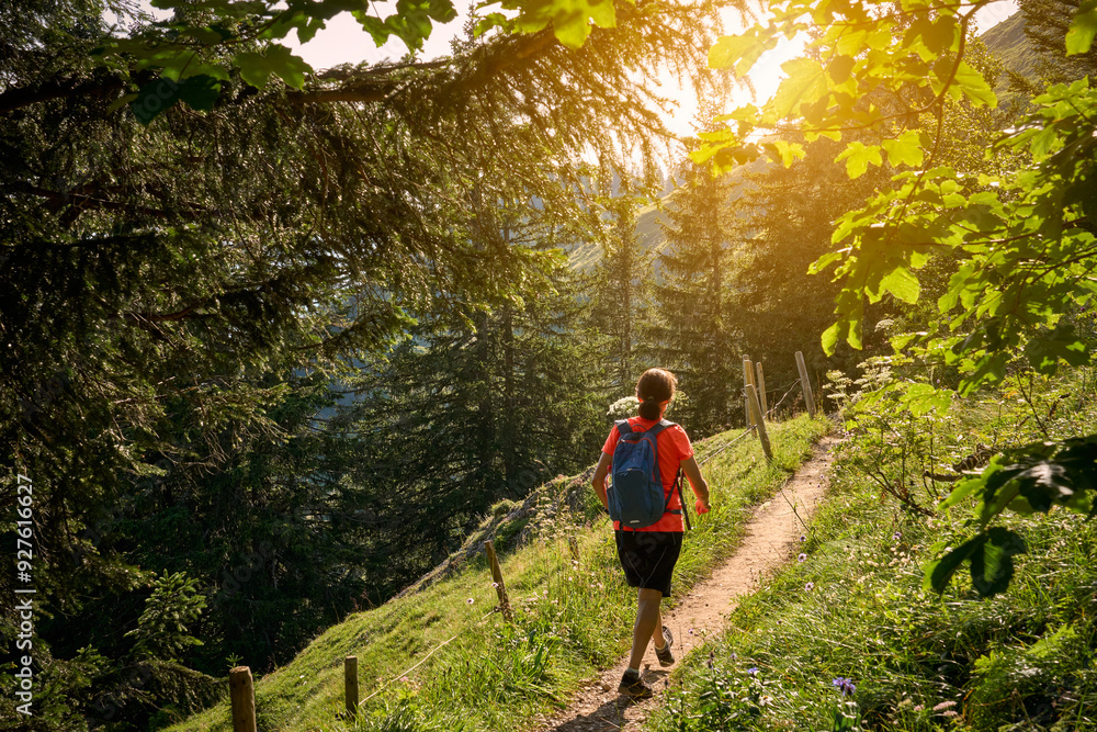 Obraz premium pretty senior woman hiking in warm dawn sunlight and enjoying the spectacular view over the Allgau alps on the Nagelfluh mountain chain near Oberstaufen, Bavaria, Germany