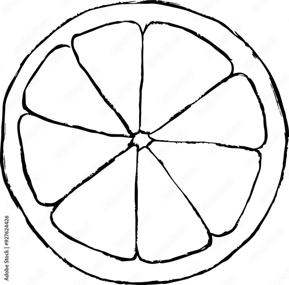 Orange slice illustration, hand drawn illustration of an orange slice Orange slice illustration, hand drawn illustration of an orange slice