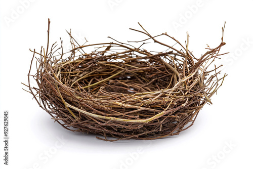An empty bird's nest made of twigs on a white background