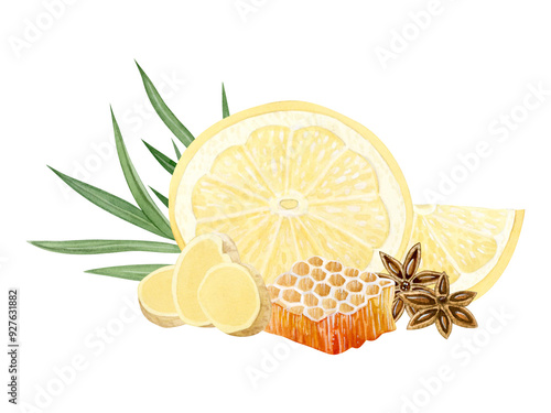 Canvas Print Mix of ginger lemon honey lemongrass and star anise watercolor illustration in yellow and green colors