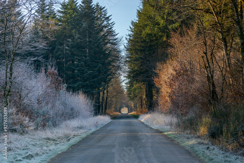 en route pour la foret de paimpont un matin de givre