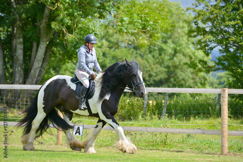 Big and beautiful black and white cob horse being ridden by young female rider outdoors in English countryside on a summers day. Enjoying the freedom being outside allows them to move at speed.