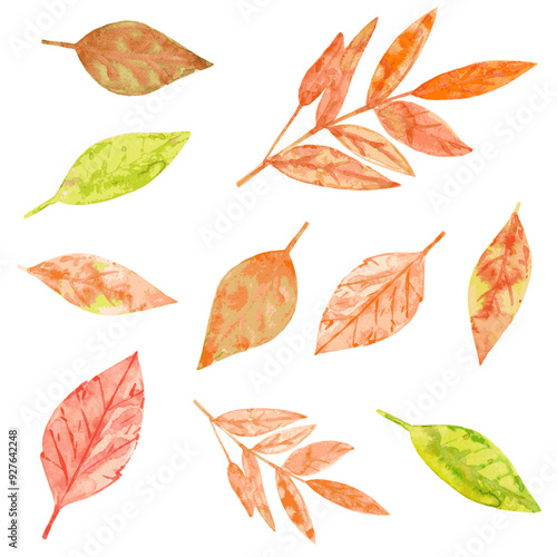 watercolor collection of autumn leaves. nature foliage background