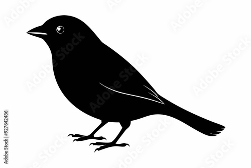 Tanager bird silhouette black vector art illustration photo