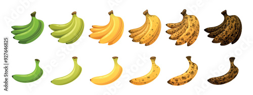 Sequence Of Bananas At Different Stages Of Ripeness, From Green And Unripe To Yellow And Fully Ripe, And Then To Brown