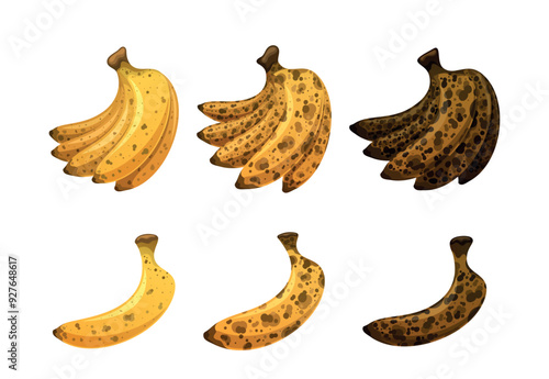 Bananas Bunch At Various Stages Of Ripeness Highlighting Freshness To Overripe Conditions With Dark Brown Spots, Vector