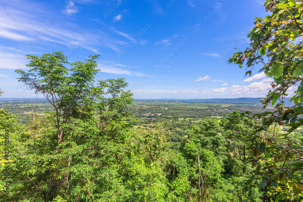 Background of various species of trees growing on the foot of the mountain, on the high rocks on the mountain top, beautiful ecosystem, fresh air. Background of various species of trees growing on the foot of the mountain, on the high rocks on the mountain top, beautiful ecosystem, fresh air.