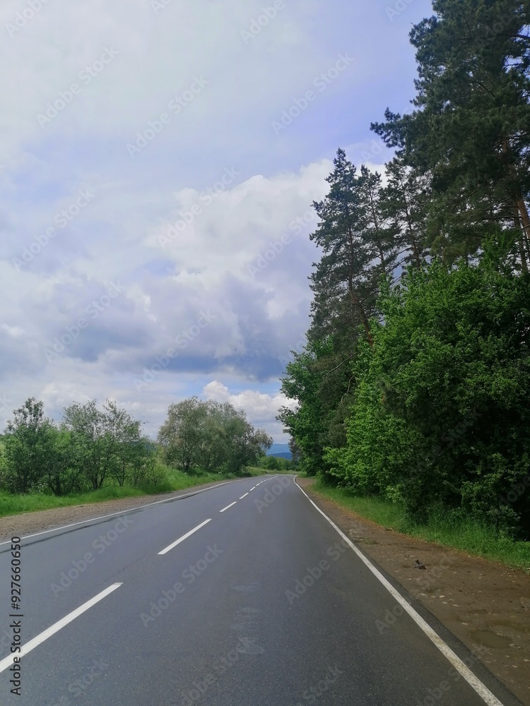 Fototapeta premium road in the forest