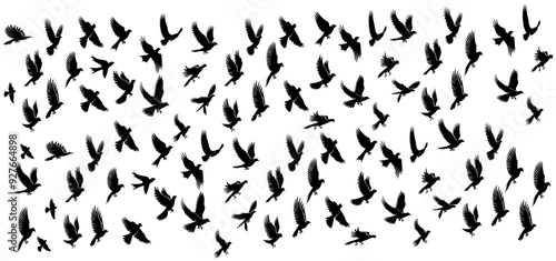 Wallpaper Mural silhouette flying birds. a flock of birds vector Torontodigital.ca