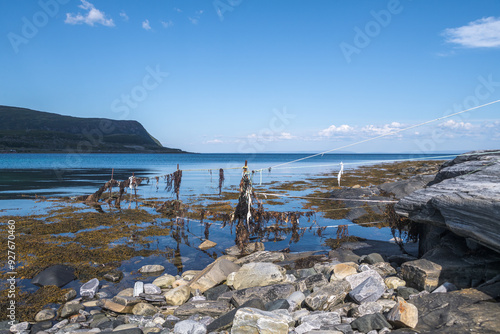 Felsküste am Smorfjord, Norwegen photo