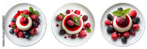 Dessert plate with panna cotta and red berries isolated on transparent background photo