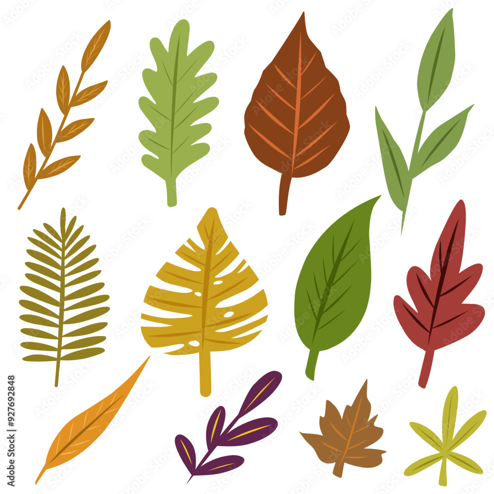 Fototapeta premium set of autumn leaves, a set of assorted autumn leaves with color variations