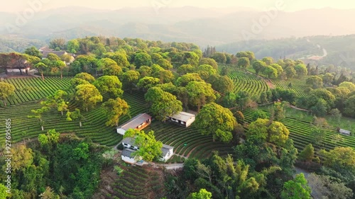 Aerial photography of Yunnan Chinese Pu'er Tea Expo photo