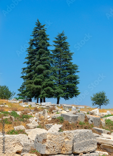 Ancient city Ephesus (Efes). Ancient architectural structures. Most visited ancient city in Turkey.