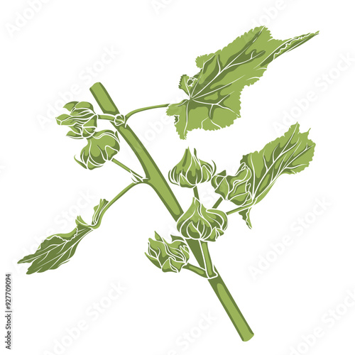 Green plant stem decorated with colorful leaves and blooming flowers demonstrating the beauty of nature. Color vector image on transparent background
