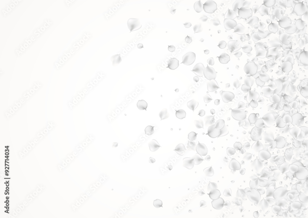 White_petals_gray_background_283.eps White_petals_gray_background_283.eps