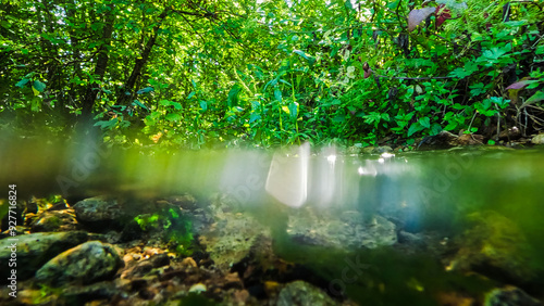 Small stream with clear water flowing through the forest.