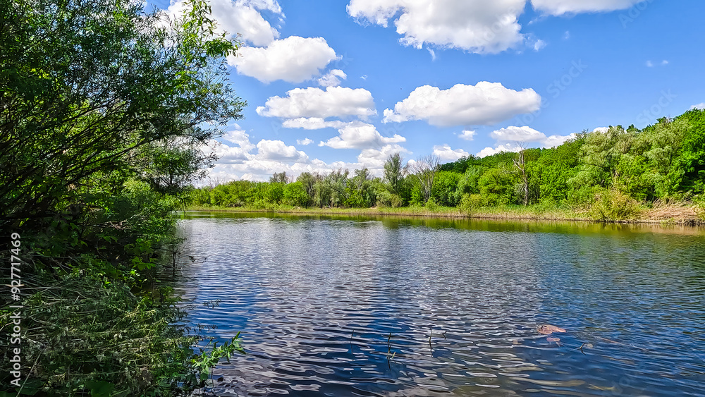 Obraz premium Summer landscape on the river bank