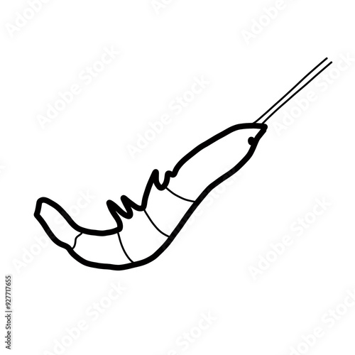 crustacean animal marine natural craw water animal shrimp
