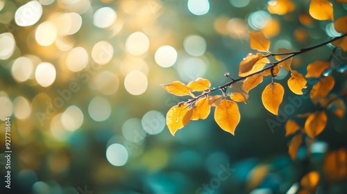 Fall bokeh background of autumn leaves in out-of-focus bokeh at apperture Useful for photomontage - photo