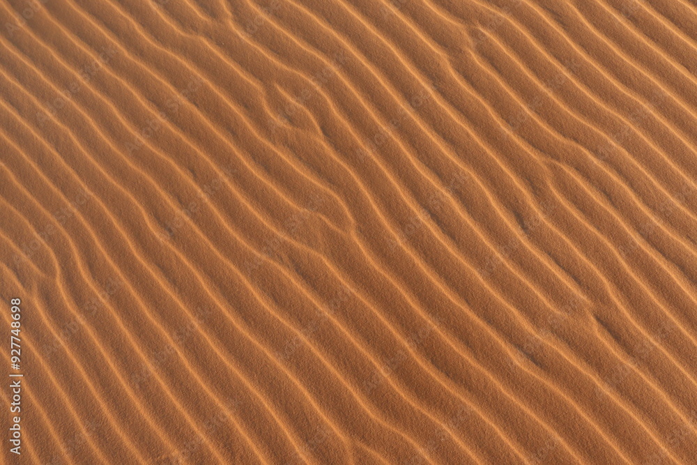 sand dune texture sand dune texture