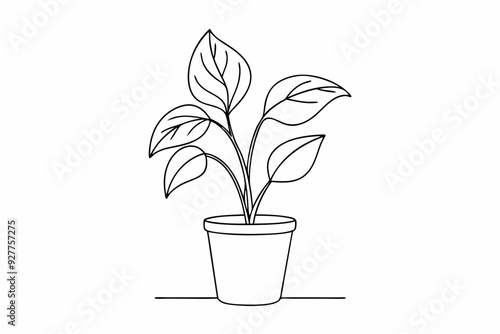 Potted plant line art vector illustration, House plant outline icon vector