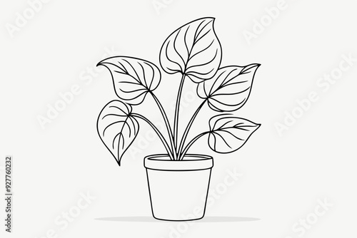 
Potted plant line art vector illustration, House plant outline icon vector