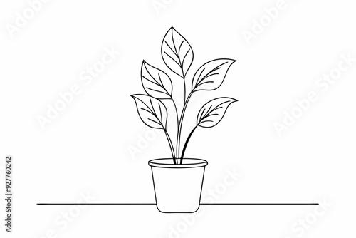 
Potted plant line art vector illustration, House plant outline icon vector