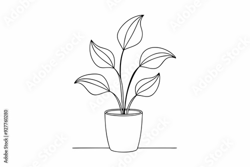 House plant in a pot doodle outline, Potted plant line art vector illustration